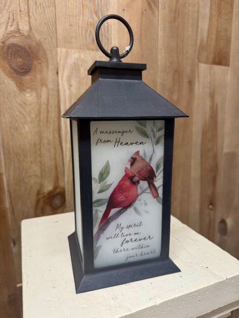 Products – AlbionTimelessFloral
